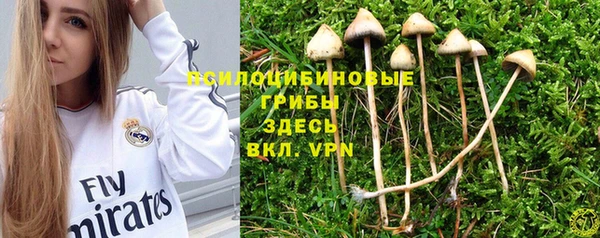 apvp Нягань